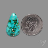 Sonoran Gold Turquoise Natural Green Cabochon