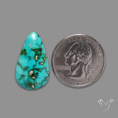 Sonoran Gold Turquoise Natural Green Cabochon