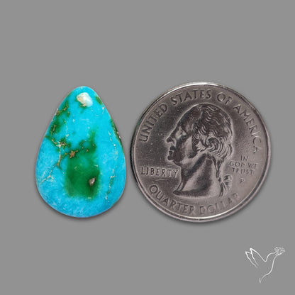 Sonoran Gold Turquoise Cabochon