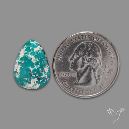 Sonoran Gold Turquoise Cabochon