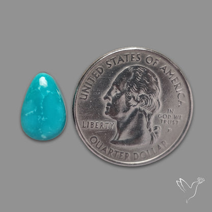 Sonoran Gold Turquoise Cabochon