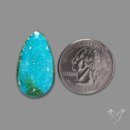 Sonoran Gold Turquoise Cabochon