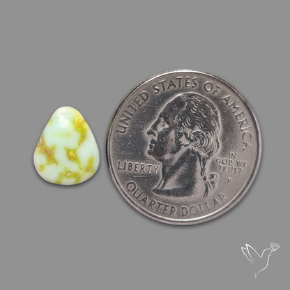 Palomino Turquoise Cabochon