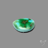 Sonoran Gold Turquoise Cabochon