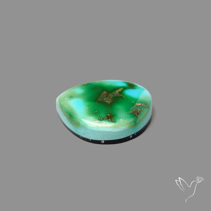 Sonoran Gold Turquoise Cabochon