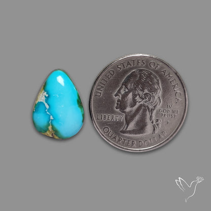 Sonoran Gold Turquoise Cabochon