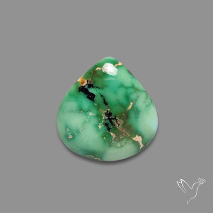 Sonoran Gold Turquoise Cabochon