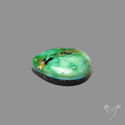 Sonoran Gold Turquoise Cabochon