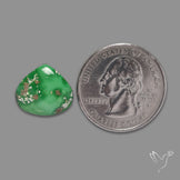 Sonoran Gold Turquoise Cabochon