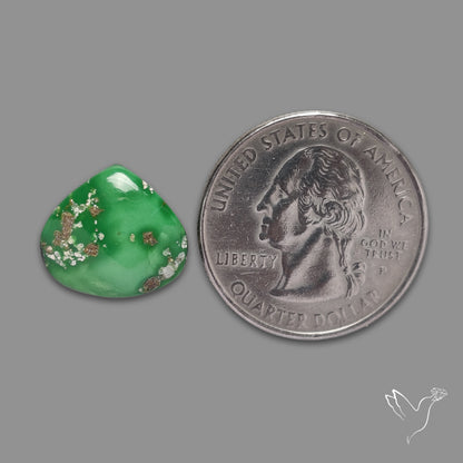 Sonoran Gold Turquoise Cabochon