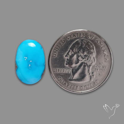 Sonoran Gold Turquoise Cabochon
