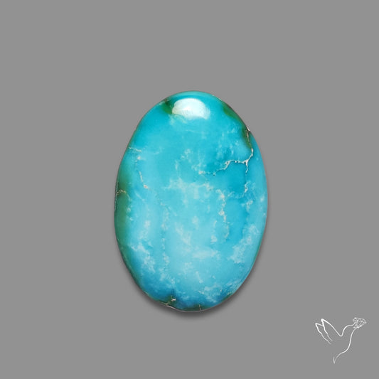 Sonoran Gold Turquoise Cabochon