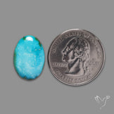 Sonoran Gold Turquoise Cabochon