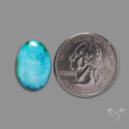 Sonoran Gold Turquoise Cabochon