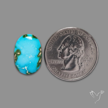 Sonoran Gold Turquoise Cabochon