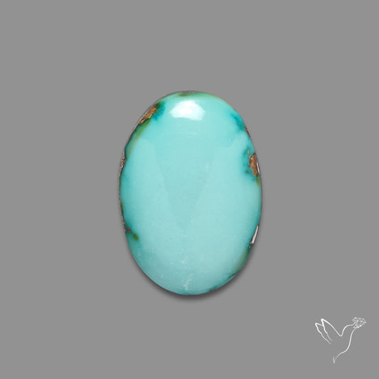 Sonoran Gold Turquoise Cabochon