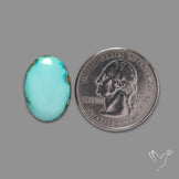 Sonoran Gold Turquoise Cabochon