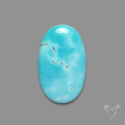 Sonoran Gold Turquoise Cabochon