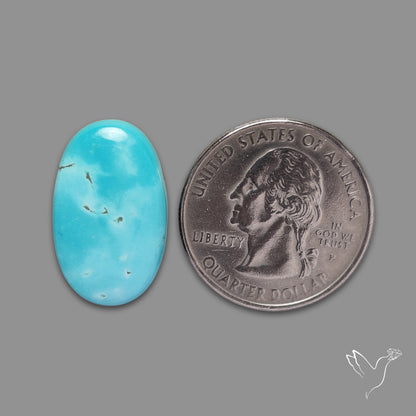 Sonoran Gold Turquoise Cabochon