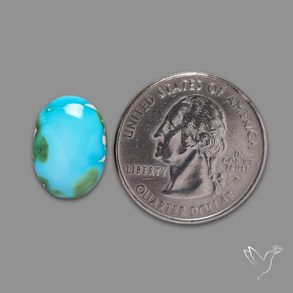 Sonoran Gold Turquoise Cabochon