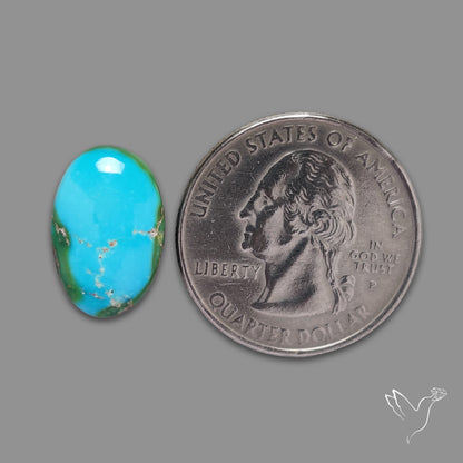 Sonoran Gold Turquoise Cabochon