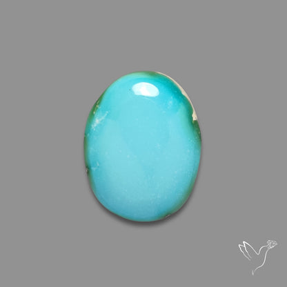 Sonoran Gold Turquoise Cabochon