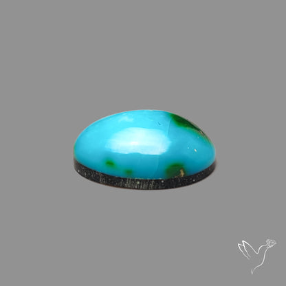 Sonoran Gold Turquoise Cabochon