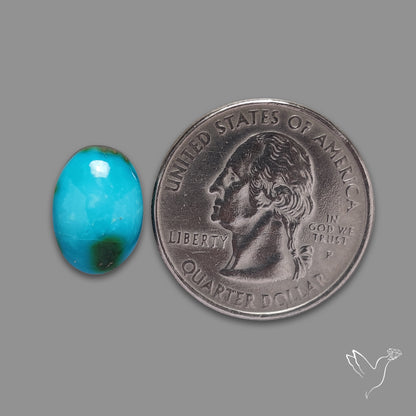Sonoran Gold Turquoise Cabochon