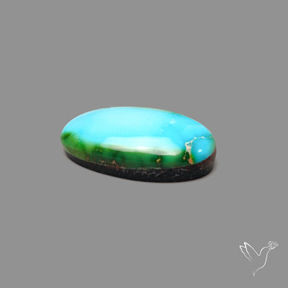 Sonoran Gold Turquoise Cabochon