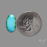 Sonoran Gold Turquoise Cabochon