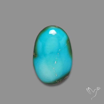 Sonoran Gold Turquoise Cabochon