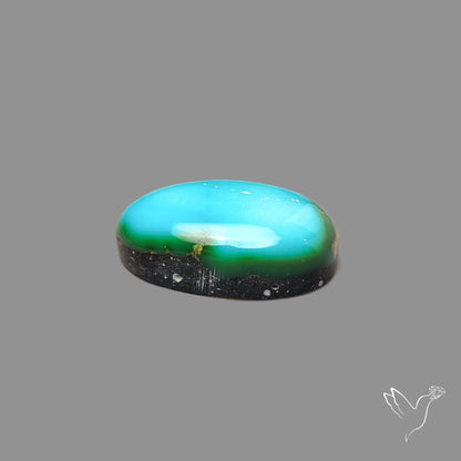 Sonoran Gold Turquoise Cabochon