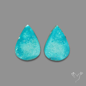 Hubei Turquoise Pair
