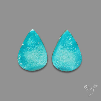 Hubei Turquoise Pair