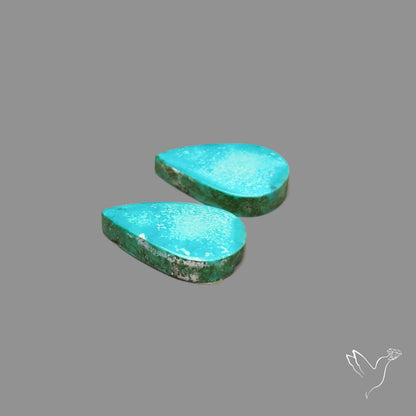Hubei Turquoise Pair