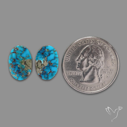 Hubei Turquoise Pair