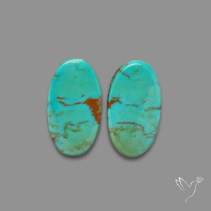 Hubei Turquoise Pair