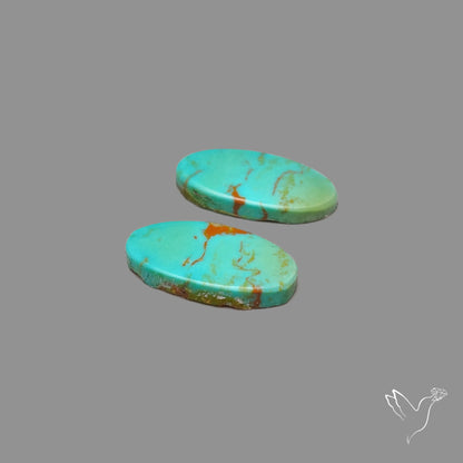 Hubei Turquoise Pair