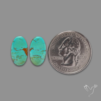 Hubei Turquoise Pair
