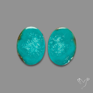 Hubei Turquoise Pair