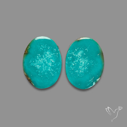 Hubei Turquoise Pair