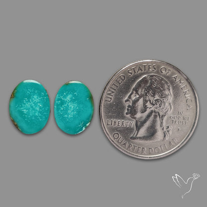 Hubei Turquoise Pair