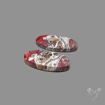 Crazylace Agate Pair
