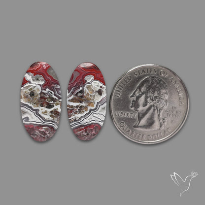 Crazylace Agate Pair