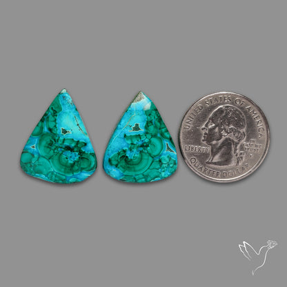 Chrysocolla In Malchite Pair
