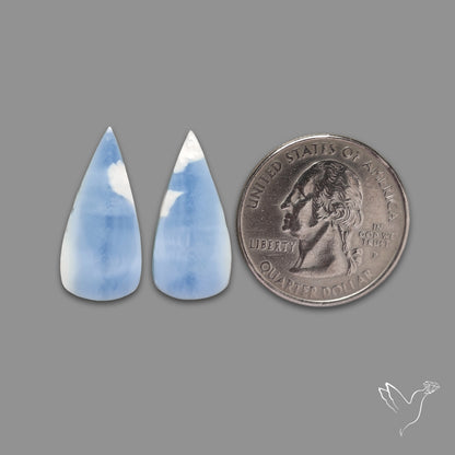 Owyhee Blue Opal Pair