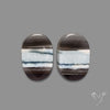 Owyhee Blue Opal Pair