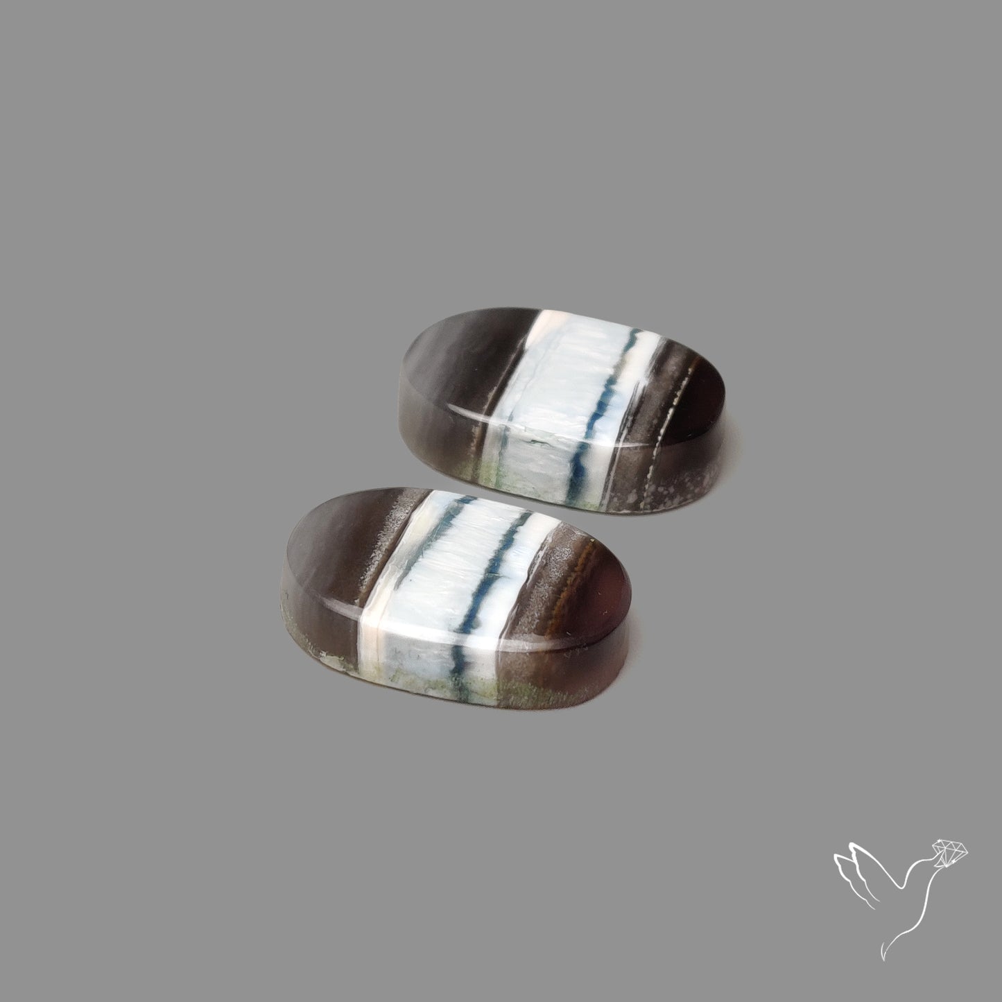 Owyhee Blue Opal Pair