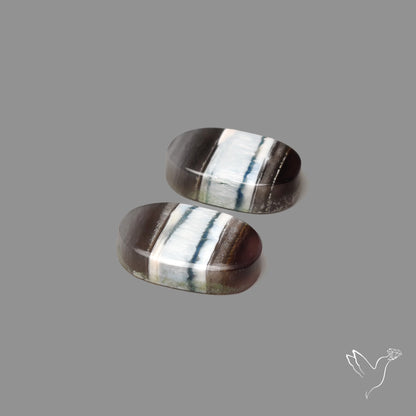 Owyhee Blue Opal Pair