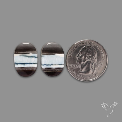 Owyhee Blue Opal Pair